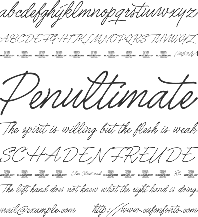 Caneta Script PERSONAL USE font preview