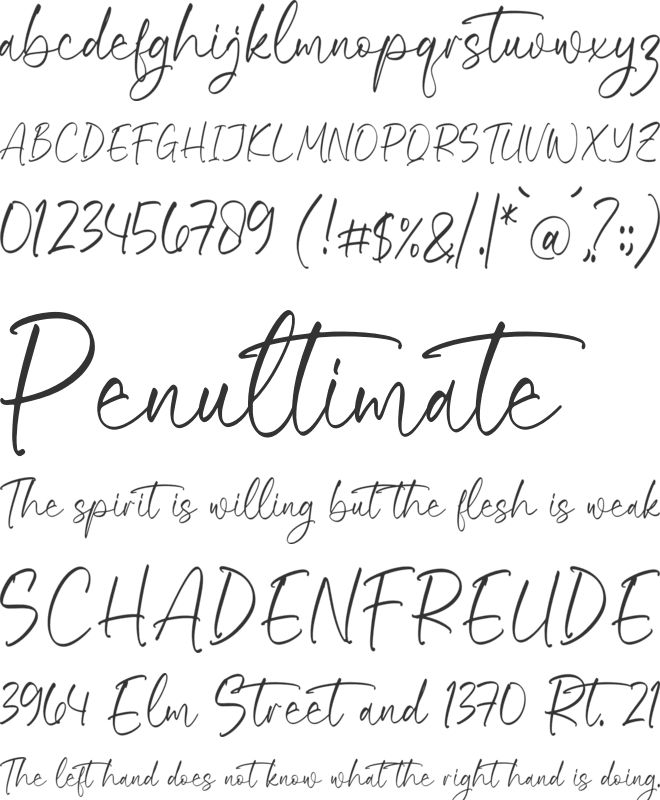Riyanthy Selafina font preview