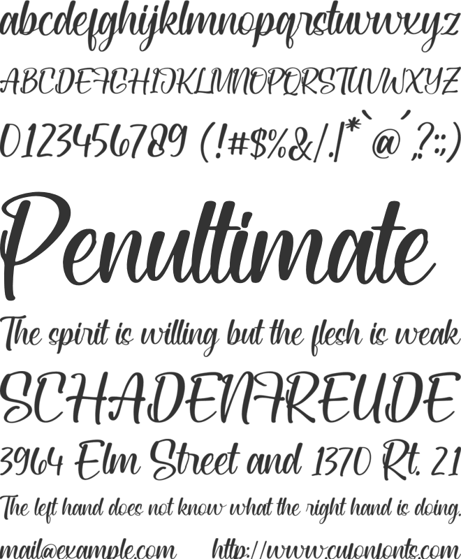 Ameratta Jungkun font preview