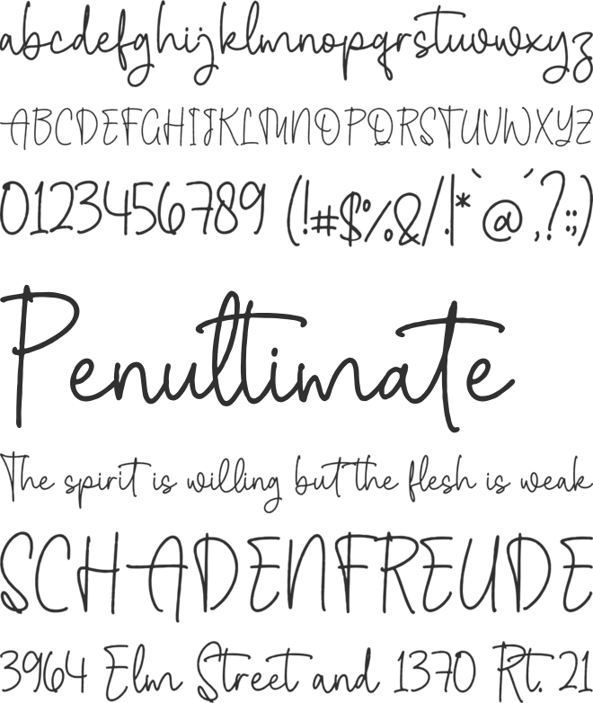 Meithany Wilkins font preview