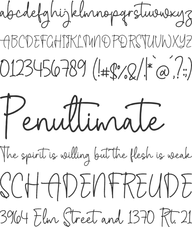 Meithany Wilkins font preview