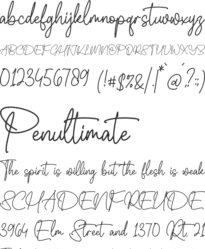 Whitteney font preview