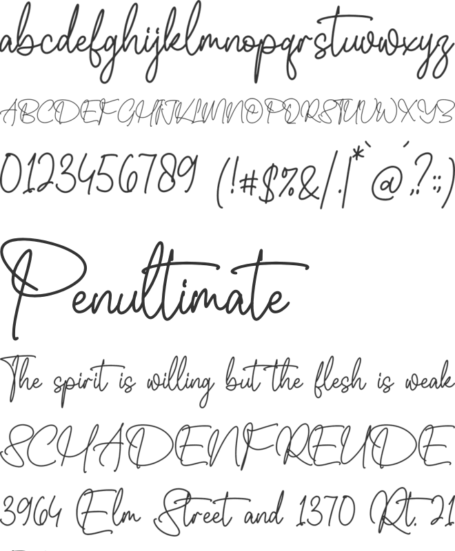 Whitteney font preview