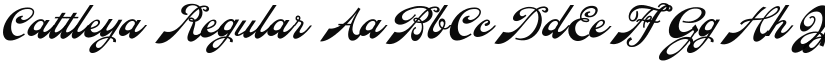 Cattleya Regular font