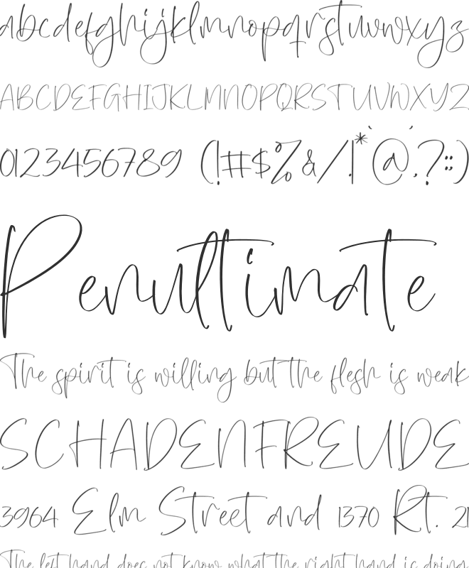 Norabita Thereal font preview