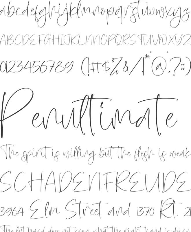 Norabita Thereal font preview