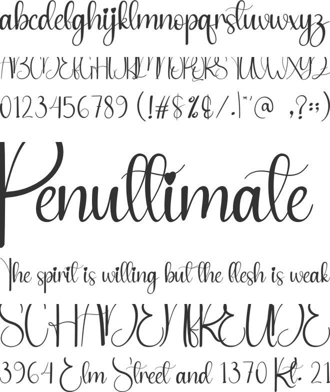 The December font preview