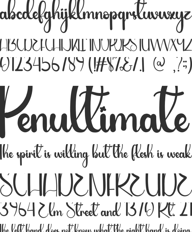 Night December font preview