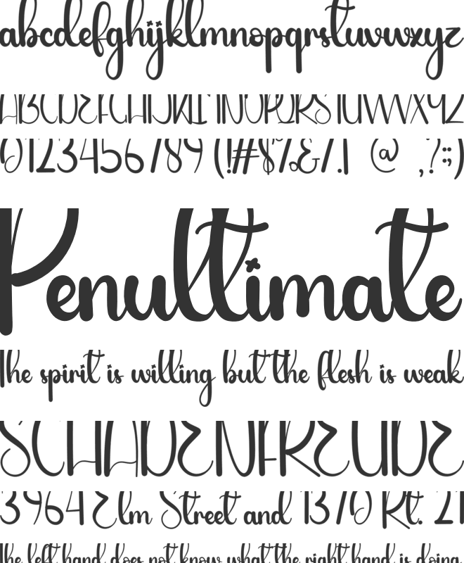 Night December font preview