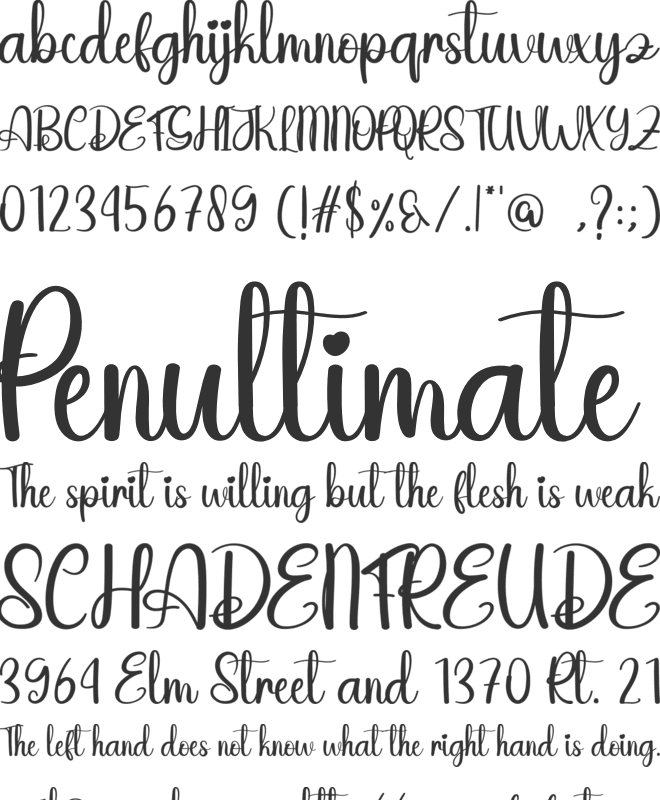 Hunter Night font preview