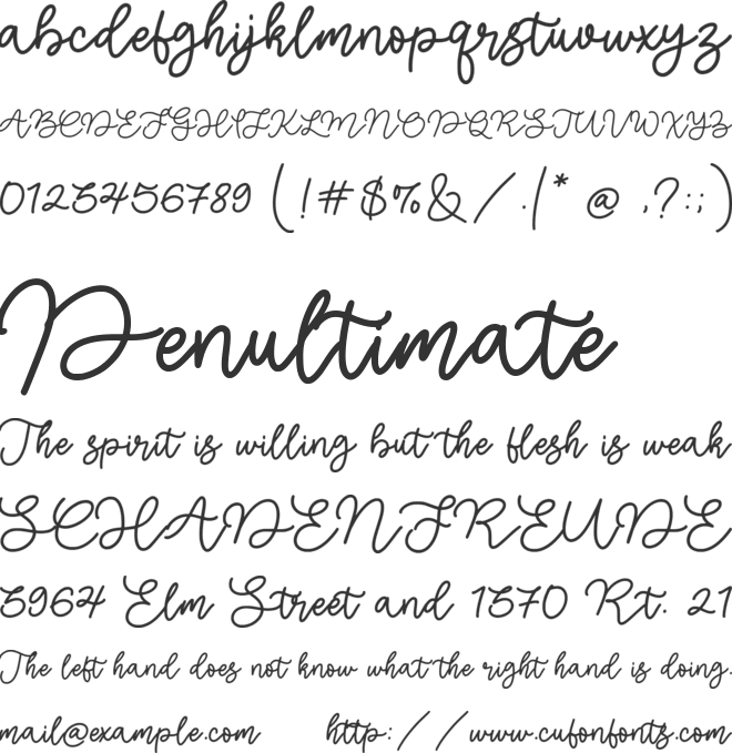 Orange Beauty font preview