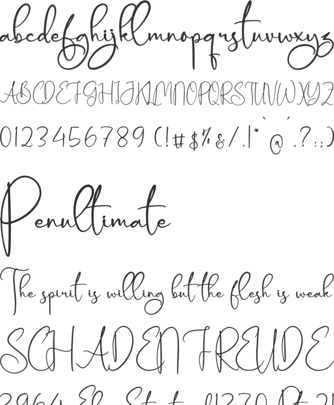 Amtenaryos font preview