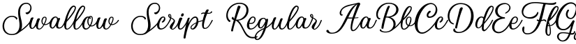 Swallow Script Regular font