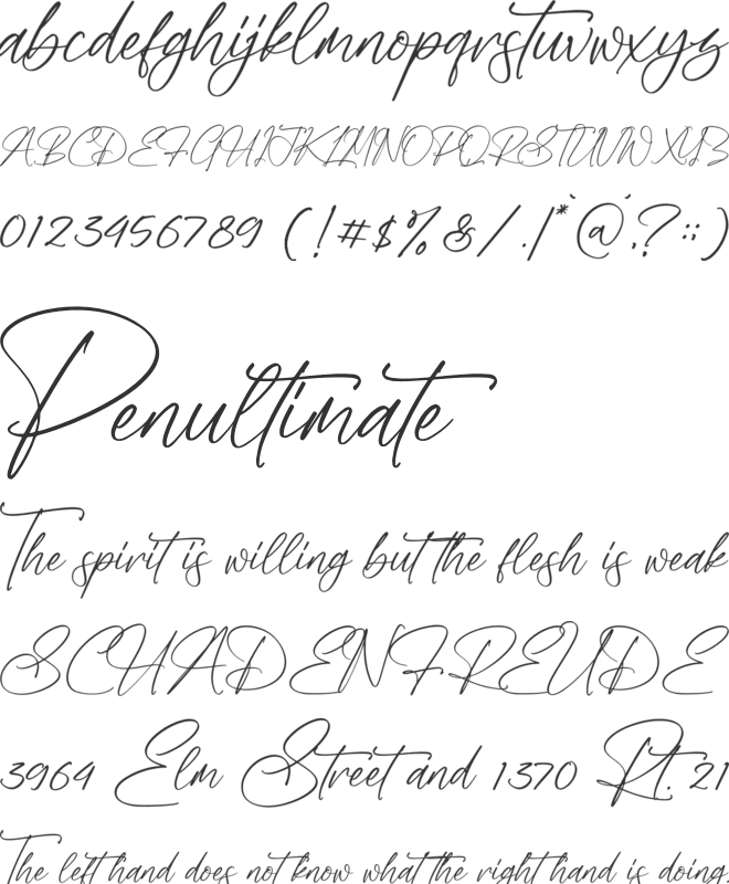 Himalaya Signature font preview