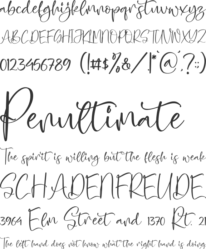 Cimbrella font preview