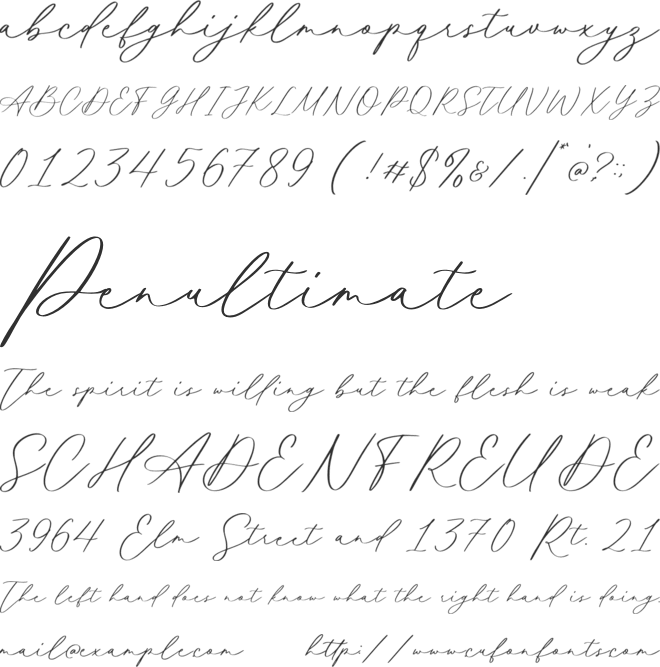 Mathilda Calligraphy font preview