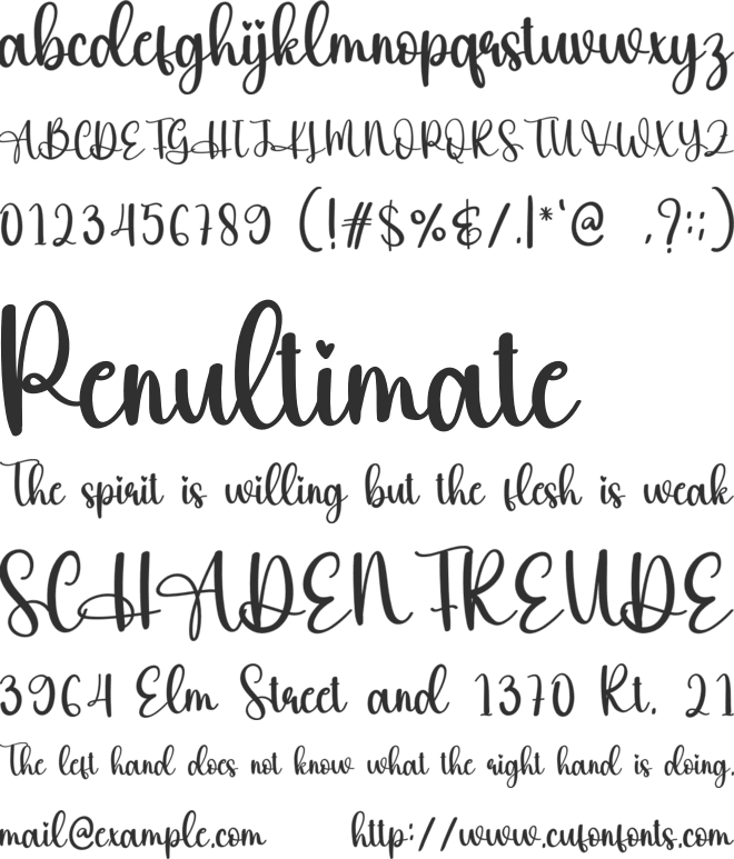 Chilli font preview