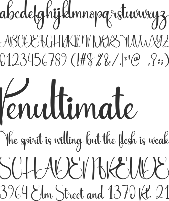 Evening font preview