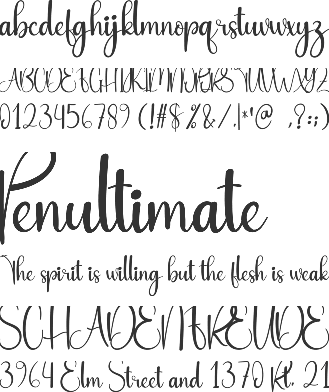 Evening font preview