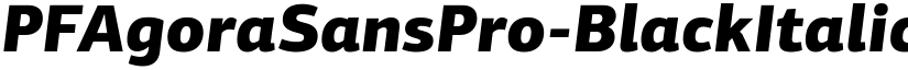 PFAgoraSansPro-BlackItalic font