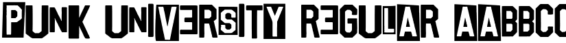 Punk University Regular font