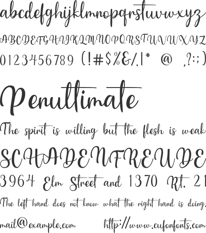 Bernita font preview