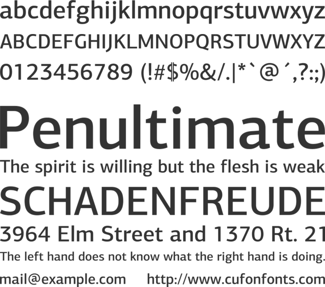 PF Agora Sans Pro Medium font preview