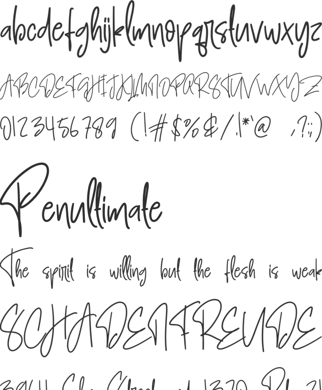 Signature In Card font preview