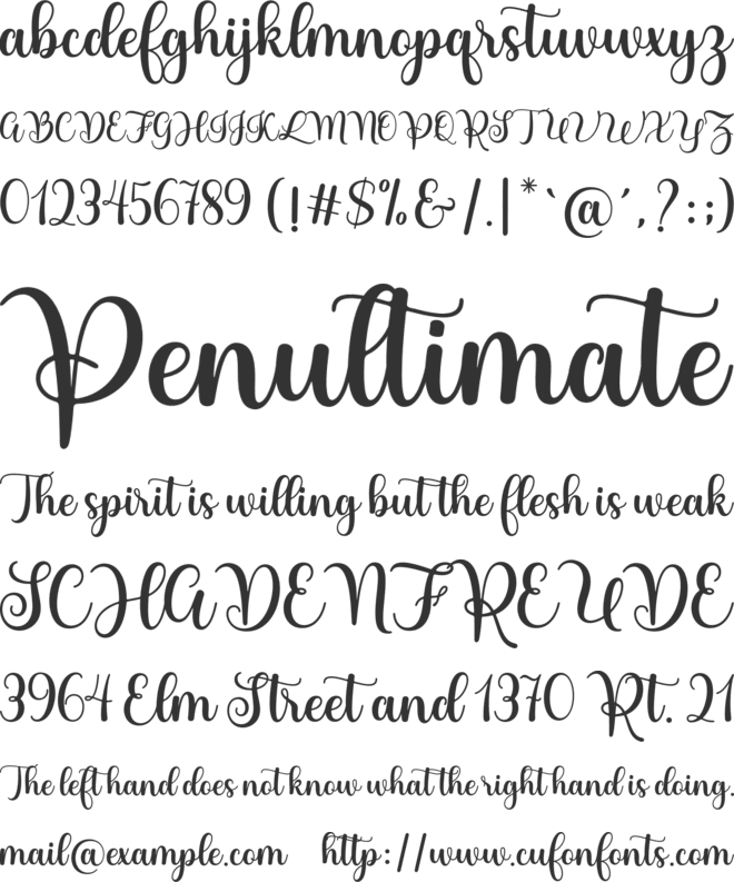 Holiday Start font preview