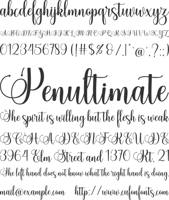 Willona font preview