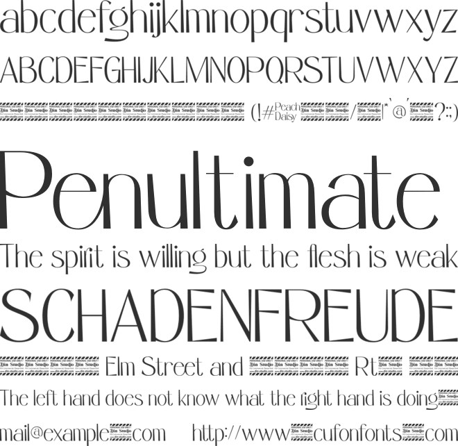 Peach Daisy Personal Use font preview