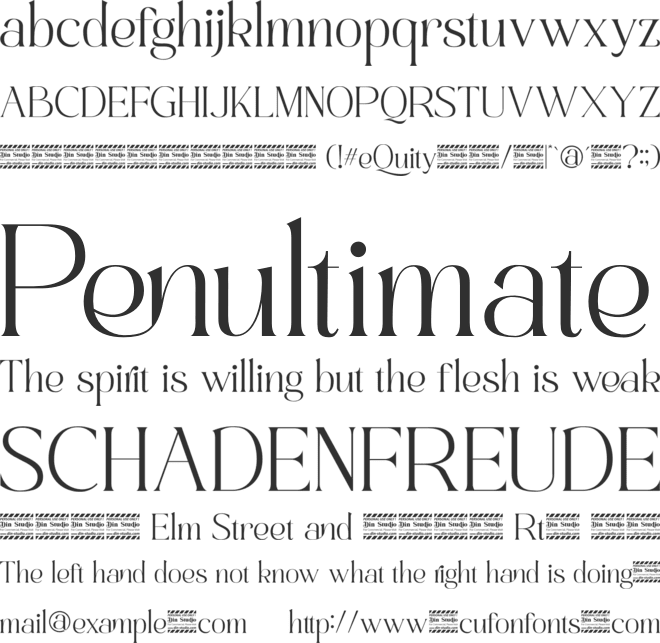 eQuity Personal Use font preview