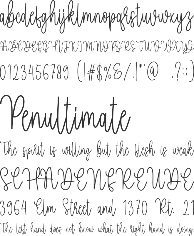 Write Signature font preview