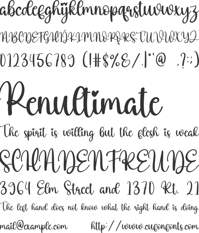 Vase Sunflower font preview