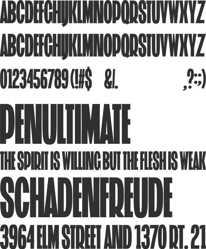 ST Extravagator Sans Sample font preview