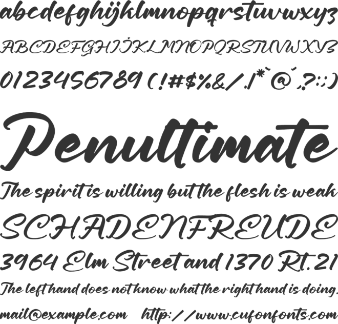 Callisya Novelyn font preview