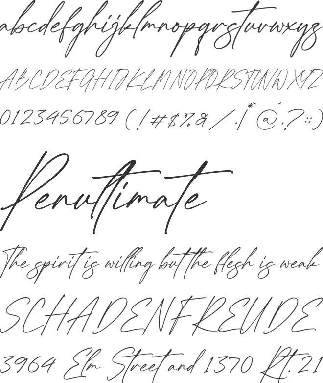 Tianila font preview