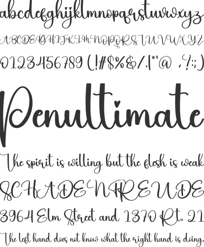 Bigfood font preview