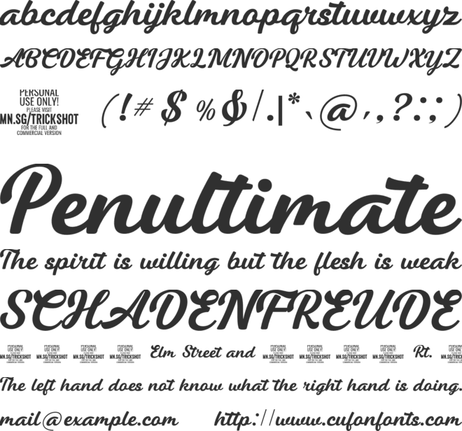 Trickshot PERSONAL USE font preview