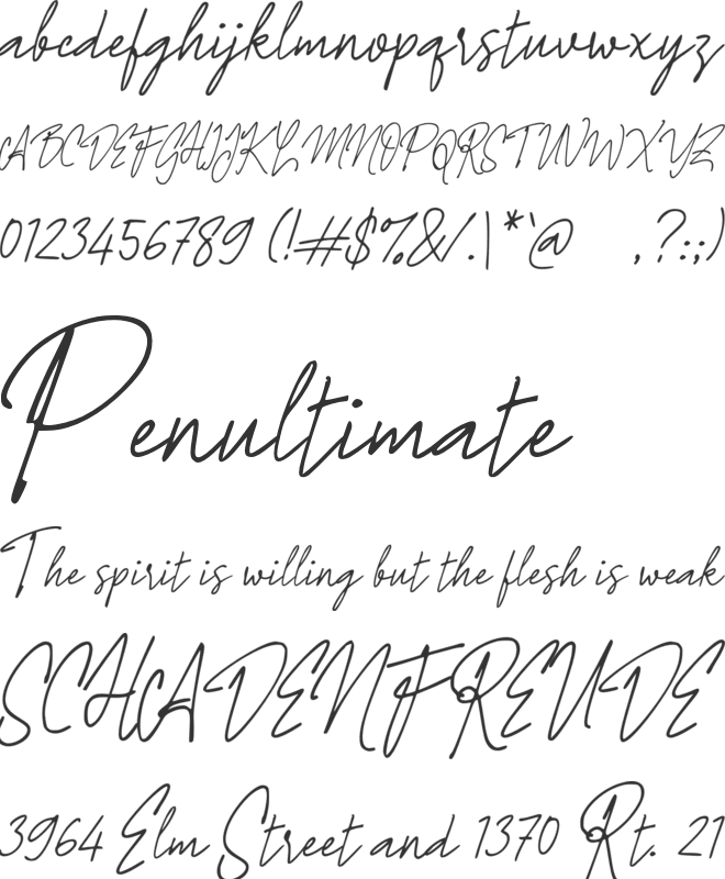 h Honey Family font preview