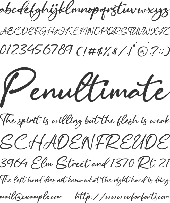 Carolena Narashy font preview
