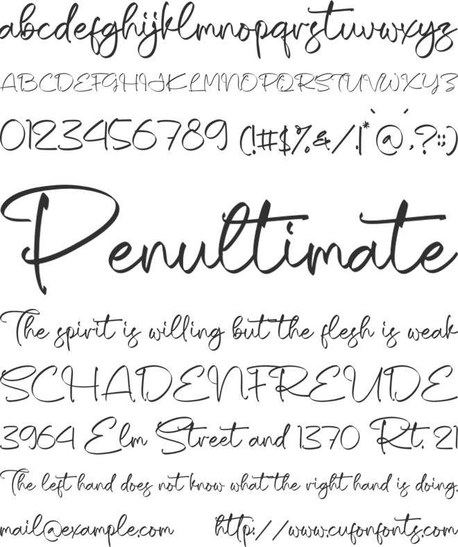 Shaquetta Torelly font preview