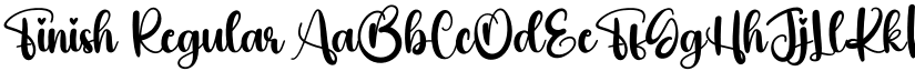 Finish Regular font