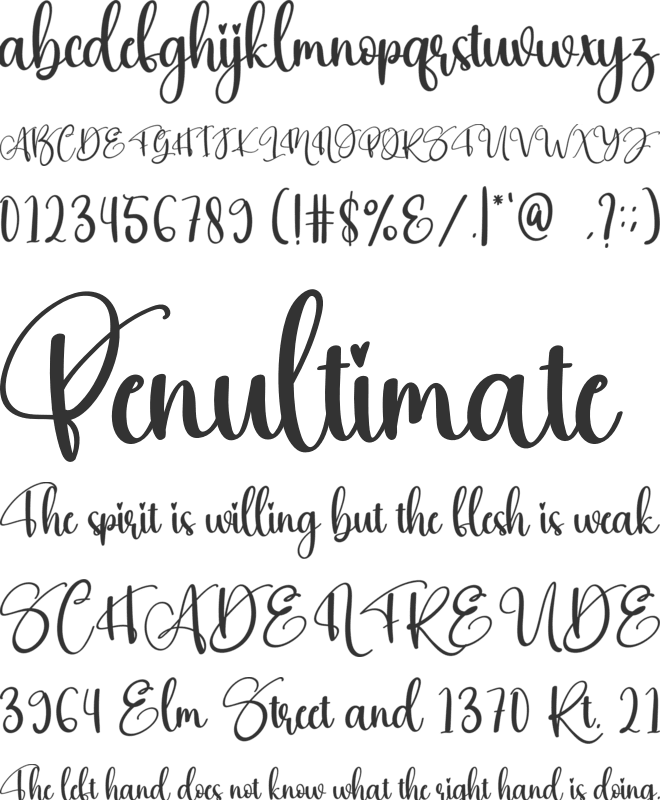 Anybody font preview