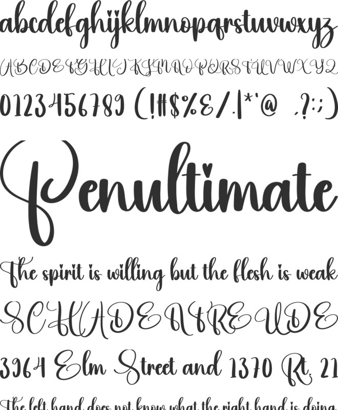 Alive font preview