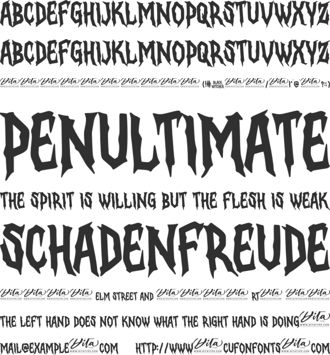 Black Witcher Personal Use font preview