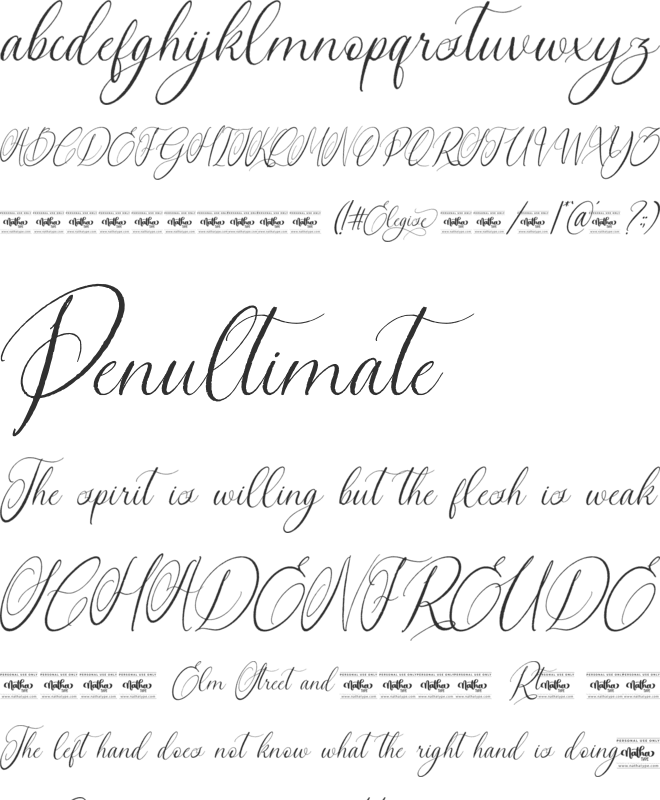 Elegise Personal Use font preview