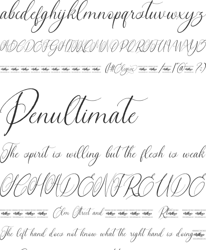 Elegise Personal Use font preview