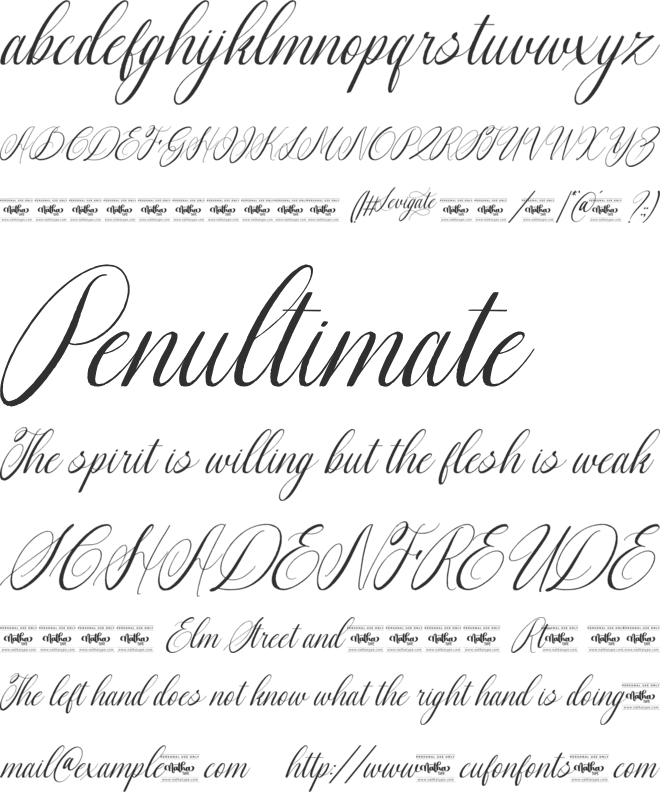 Levigate Personal Use font preview