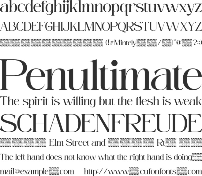 Mintely Reg Personal Use font preview